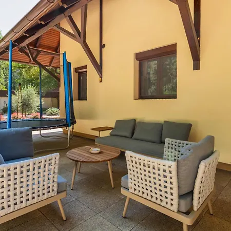 Pensiune Ikon Vendeghaz Bichișciaba