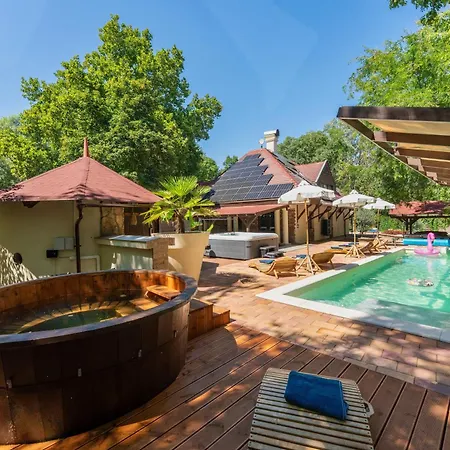 Ikon Vendeghaz Pensiune Bichișciaba